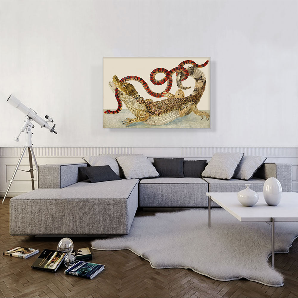 Spectacled Caiman South American False Coral Snake 1705