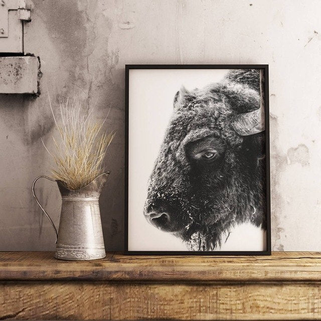 Modern Animal Buffalo Canvas Art Print and Poster