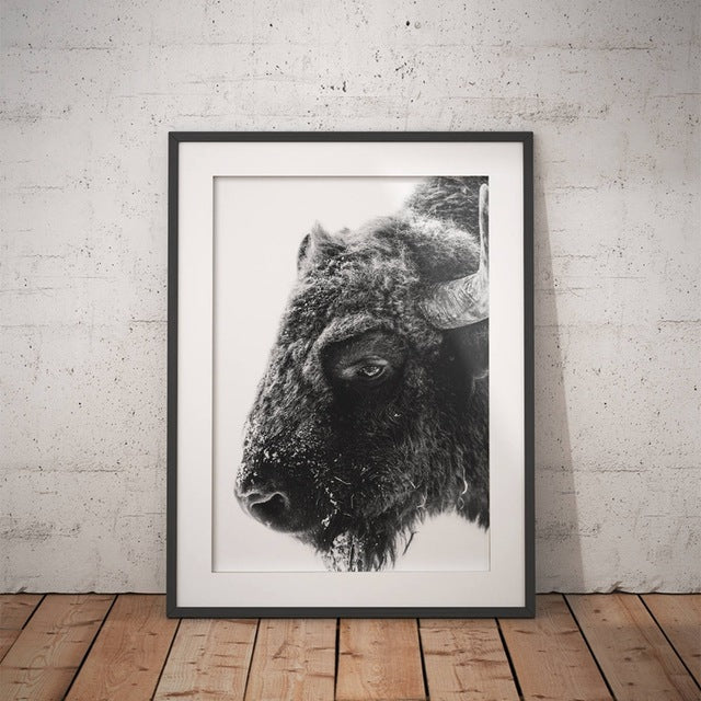 Modern Animal Buffalo Canvas Art Print and Poster