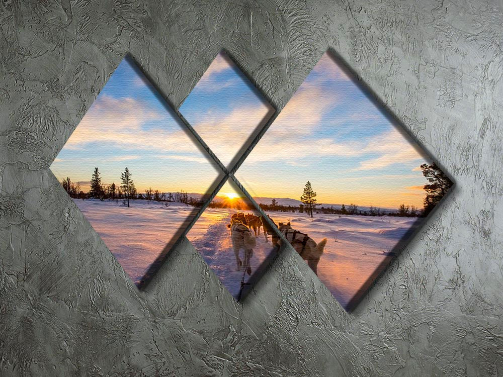 Musher and passenger in a dog sleigh with huskies a cold winter