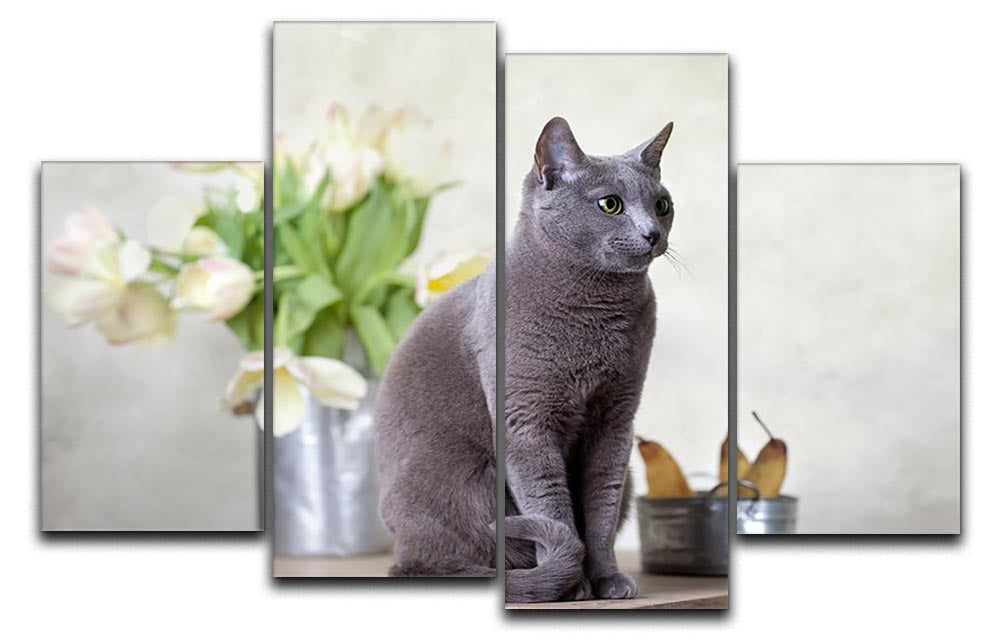 Russian Blue cat sitting on table with pears and tulips 4 Split Panel