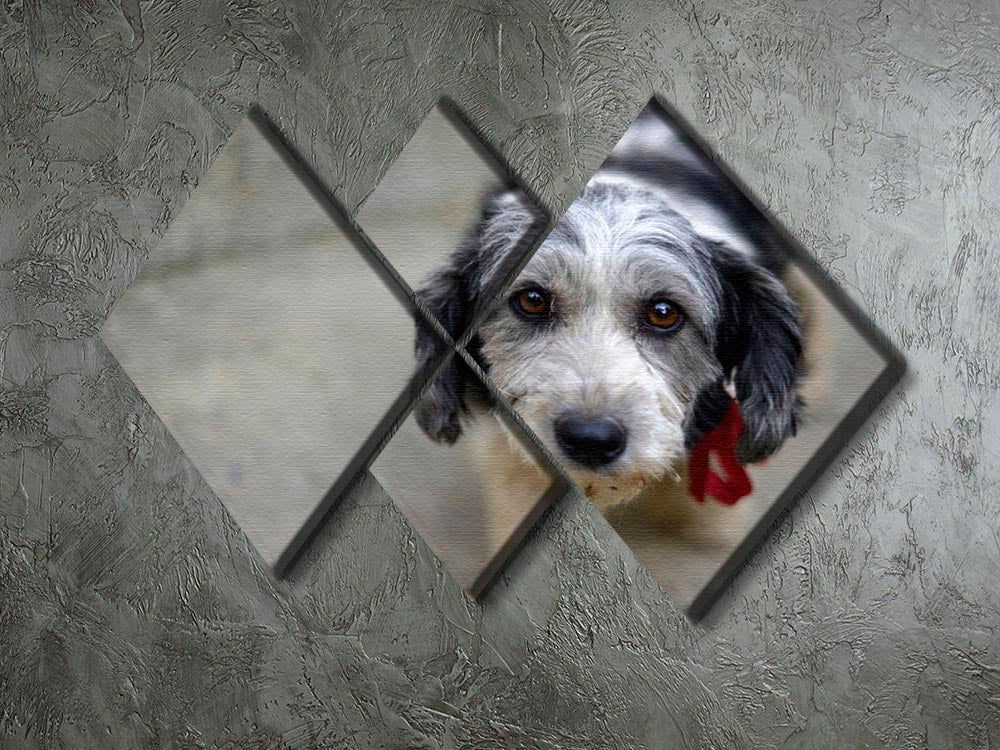 Sad look of a cute stray dog 4 Square Multi Panel Canvas