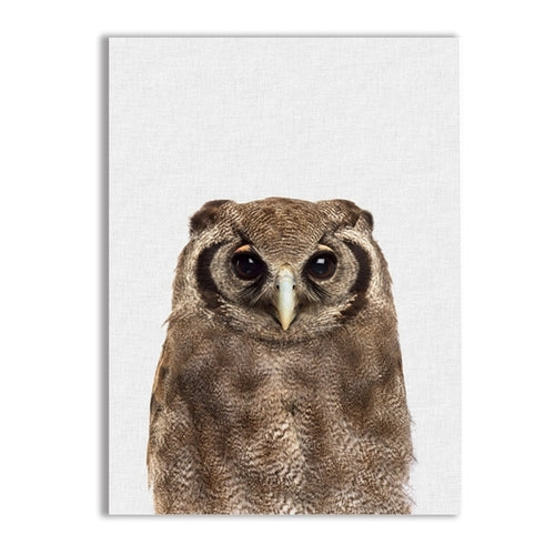 Scandinavian Animal Owl Realistic Painting Canvas