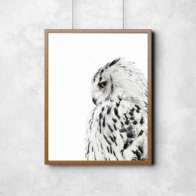 Scandinavian Animal Owl Realistic Painting Canvas