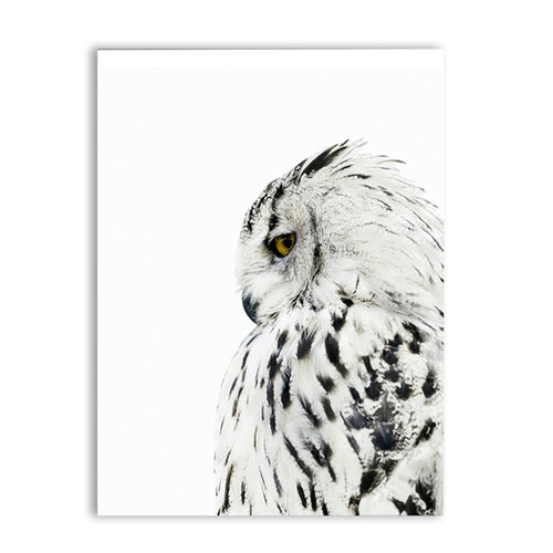 Scandinavian Animal Owl Realistic Painting Canvas