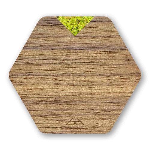 Wooden Coasters - American Walnut / Set of 4 coasters