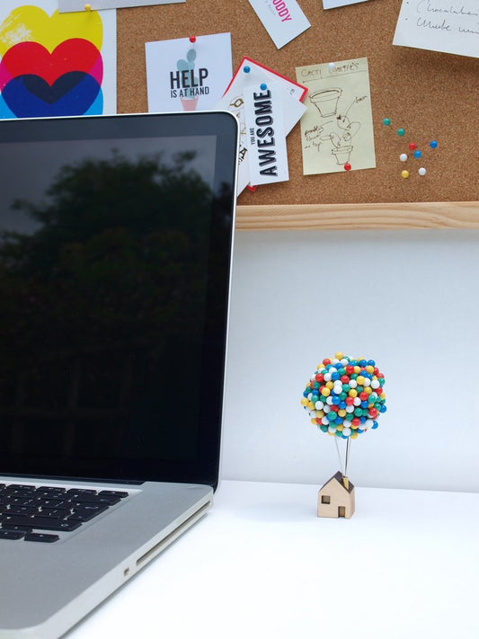 Balloon Pin House