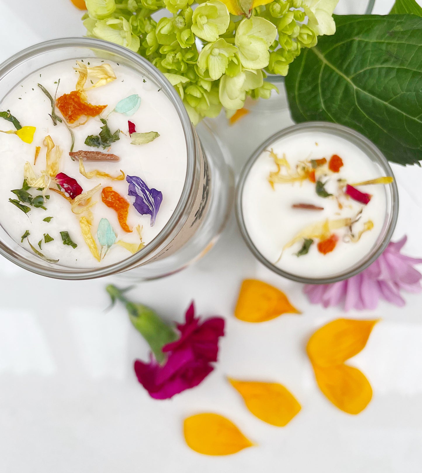 Amber Magnolia (Clean Burning Candle)