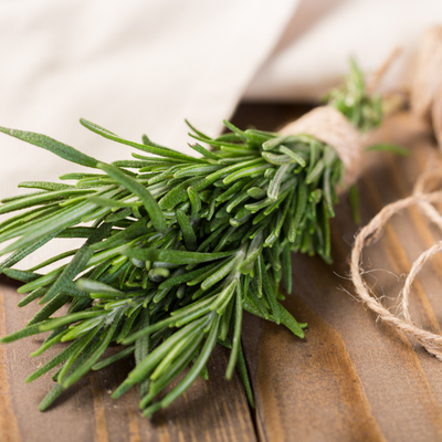 ETERISKE OLJE - ROSEMARI