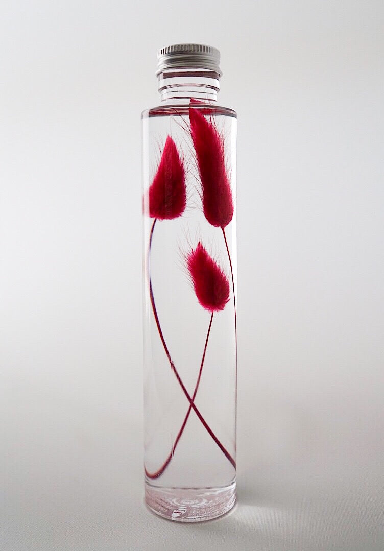 Bunny Tail Preserved Flower Botanical Bottle Keepsake, Home Interior