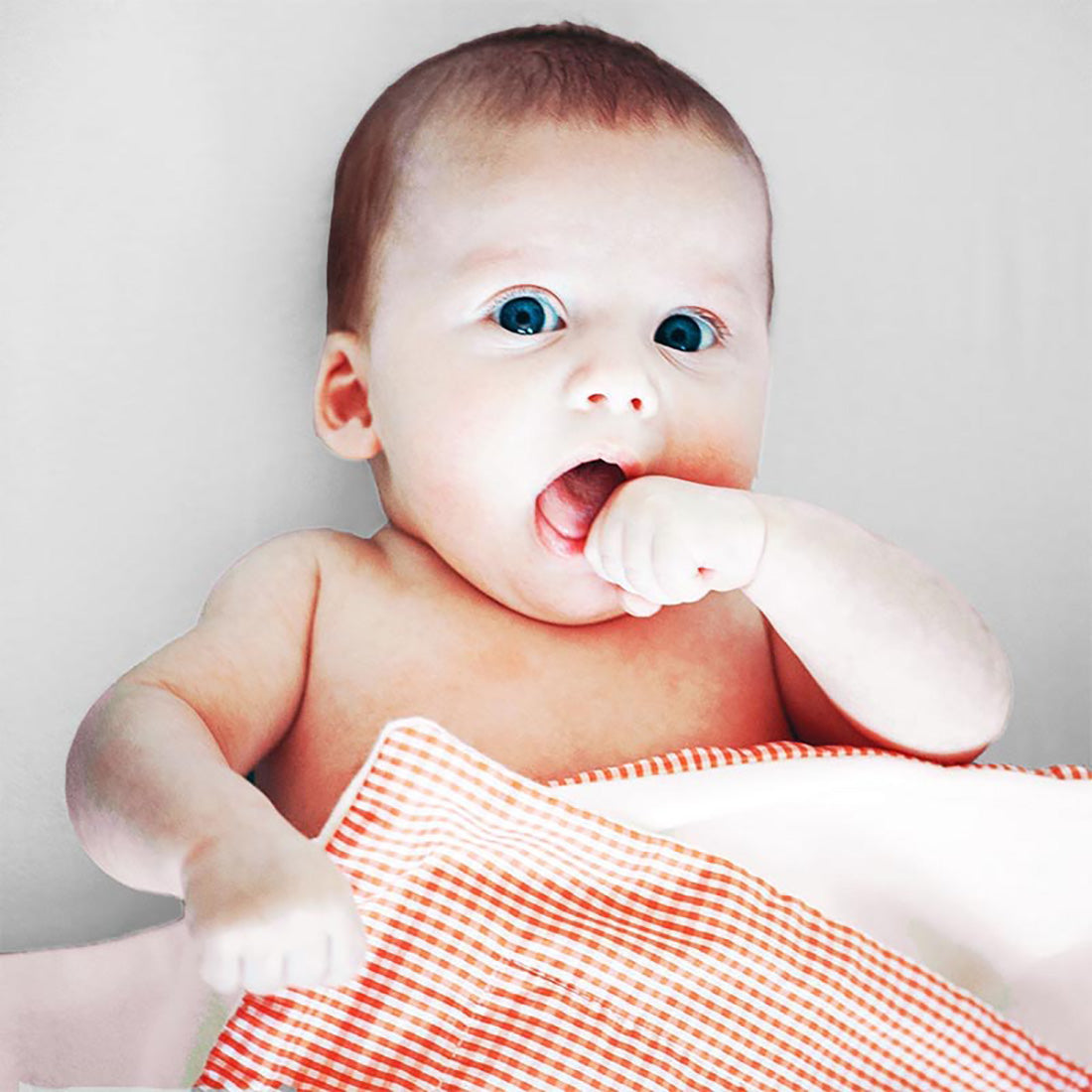 Organic Cotton Fleece Blanket -  Vichy