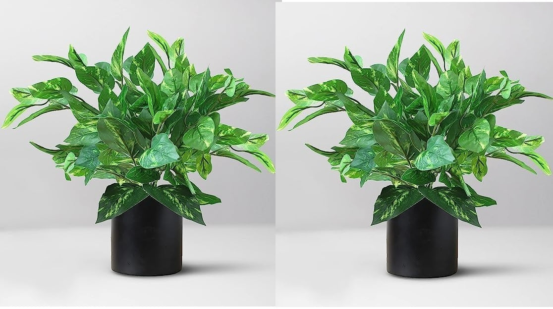 Artificial Money Plant with superiour Quality Plastic Pot,for Indoor