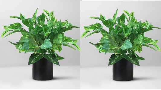 Artificial Money Plant with superiour Quality Plastic Pot,for Indoor