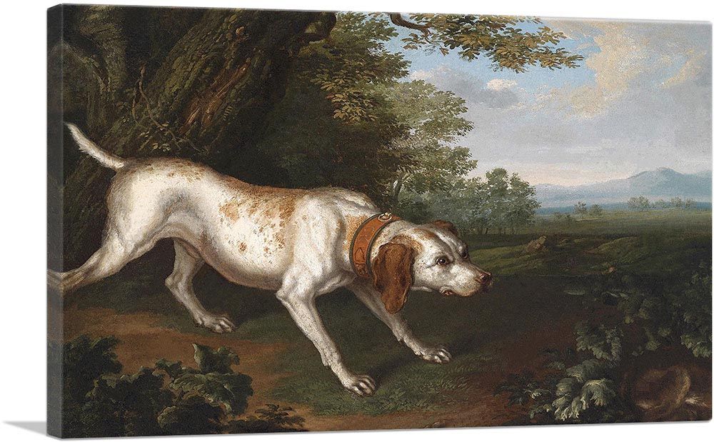 Hunting Dog