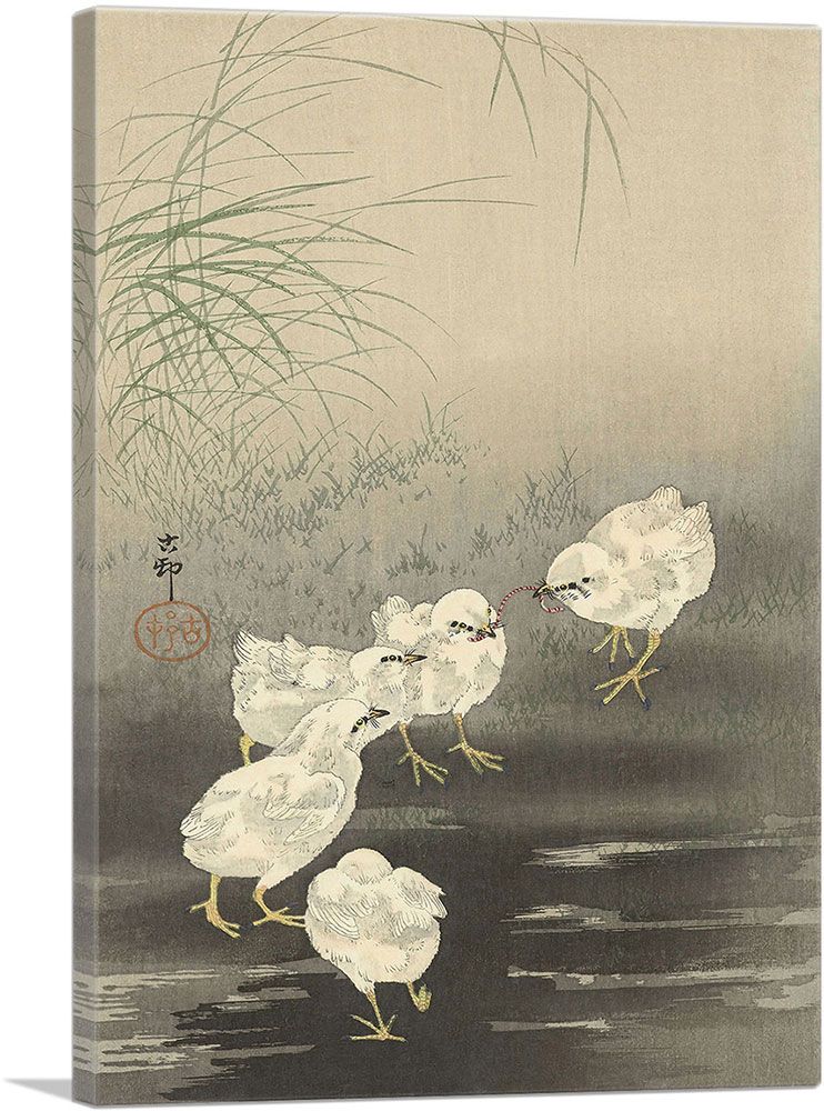 Baby Chicken and Worm