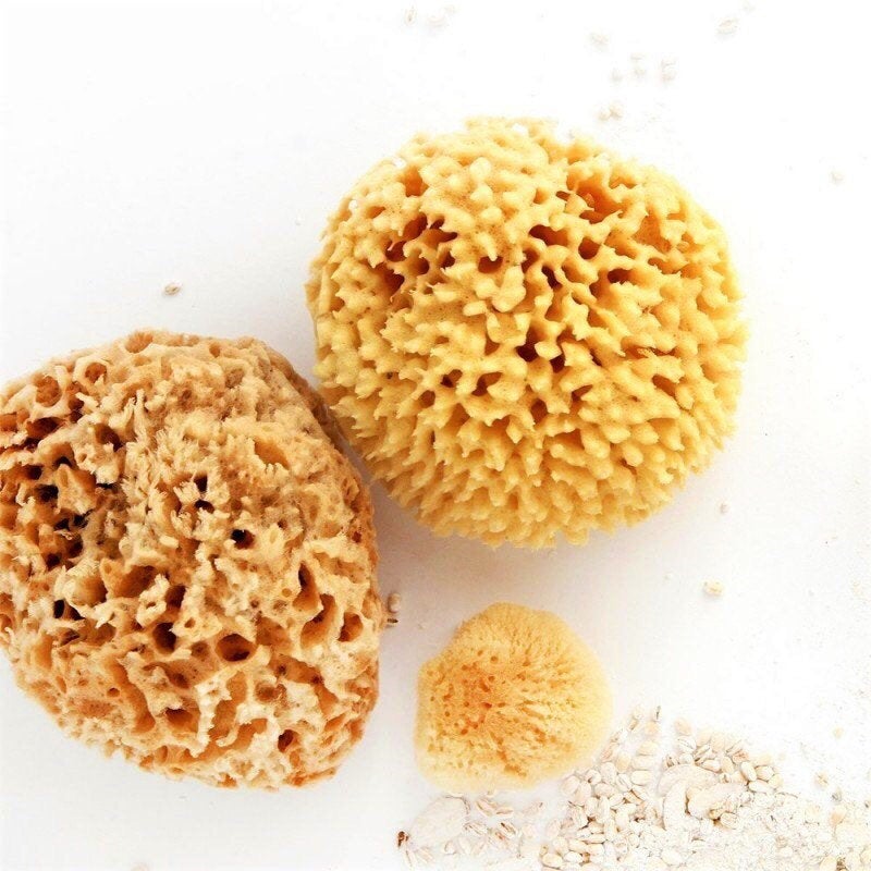 Natural Sea Sponge - Zero Waste Organic Sponge - Plastic Free