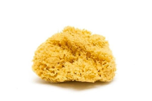 Natural Sea Sponge - Zero Waste Organic Sponge - Plastic Free