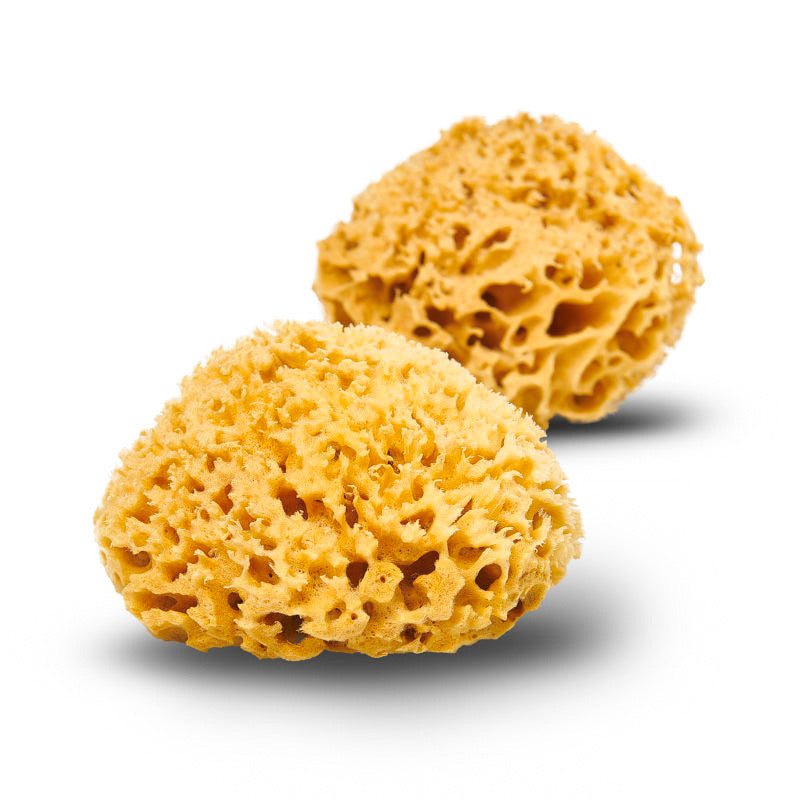 Natural Sea Sponge - Zero Waste Organic Sponge - Plastic Free
